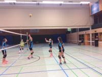 volley (20)